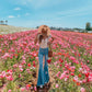 High Waist Denim Bell Bottoms